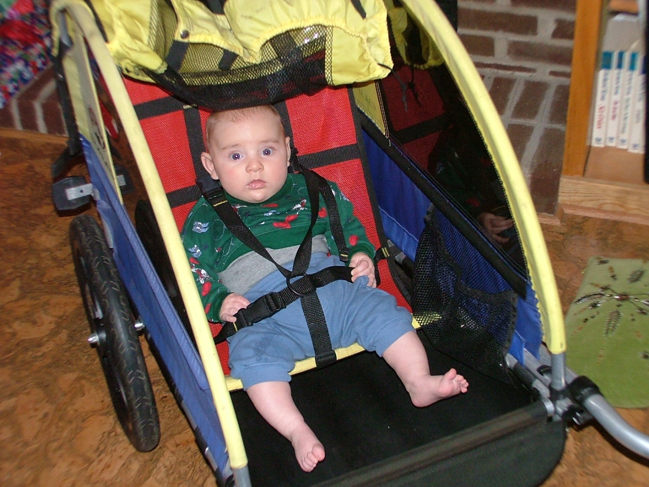 burley bike trailer infant insert